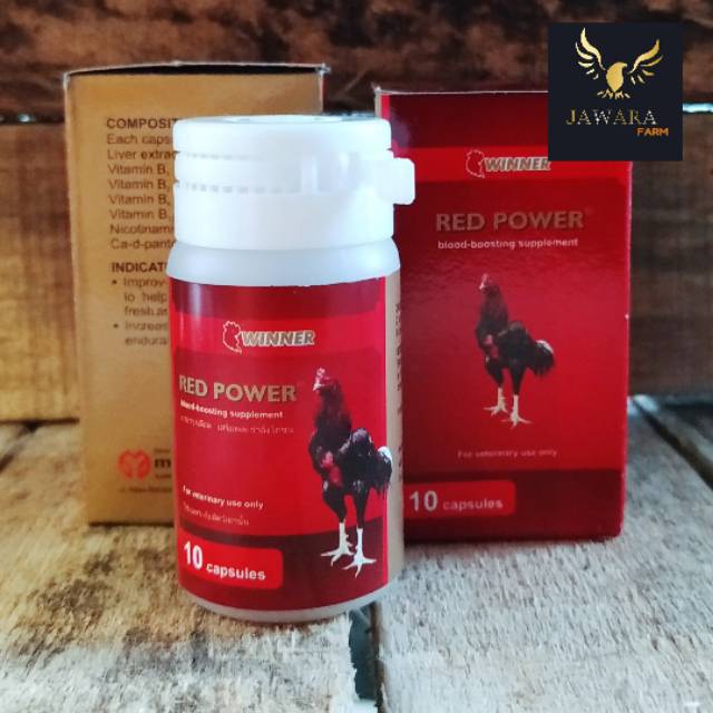 RED POWER  Winner Medion obat Kuat Ayam Jago