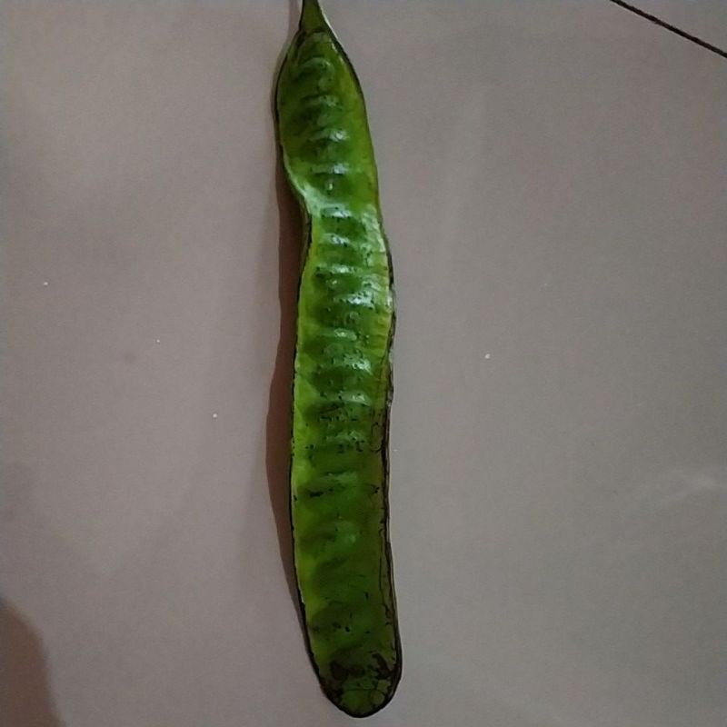 

Petai isi 4 ikat spsial