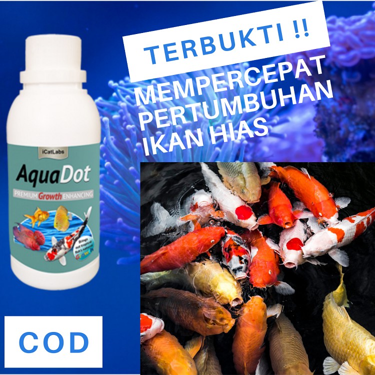 510 Vitamin Untuk Ikan Hias Air Laut Gratis Terbaik