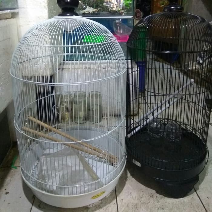 Unik Kandang Burung Sangkar Burung Lovebird Jalak Beo Nuri Ukuran