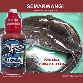 Semarwangi Essen Ikan Lele Galatama