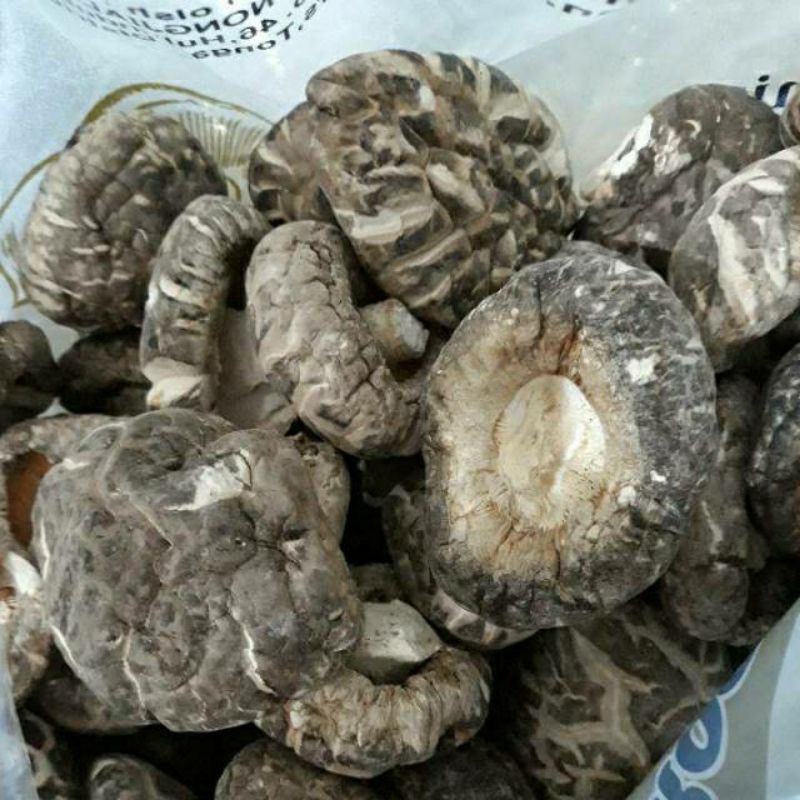 

Jamur Hioko / Jamur Kering Shitake