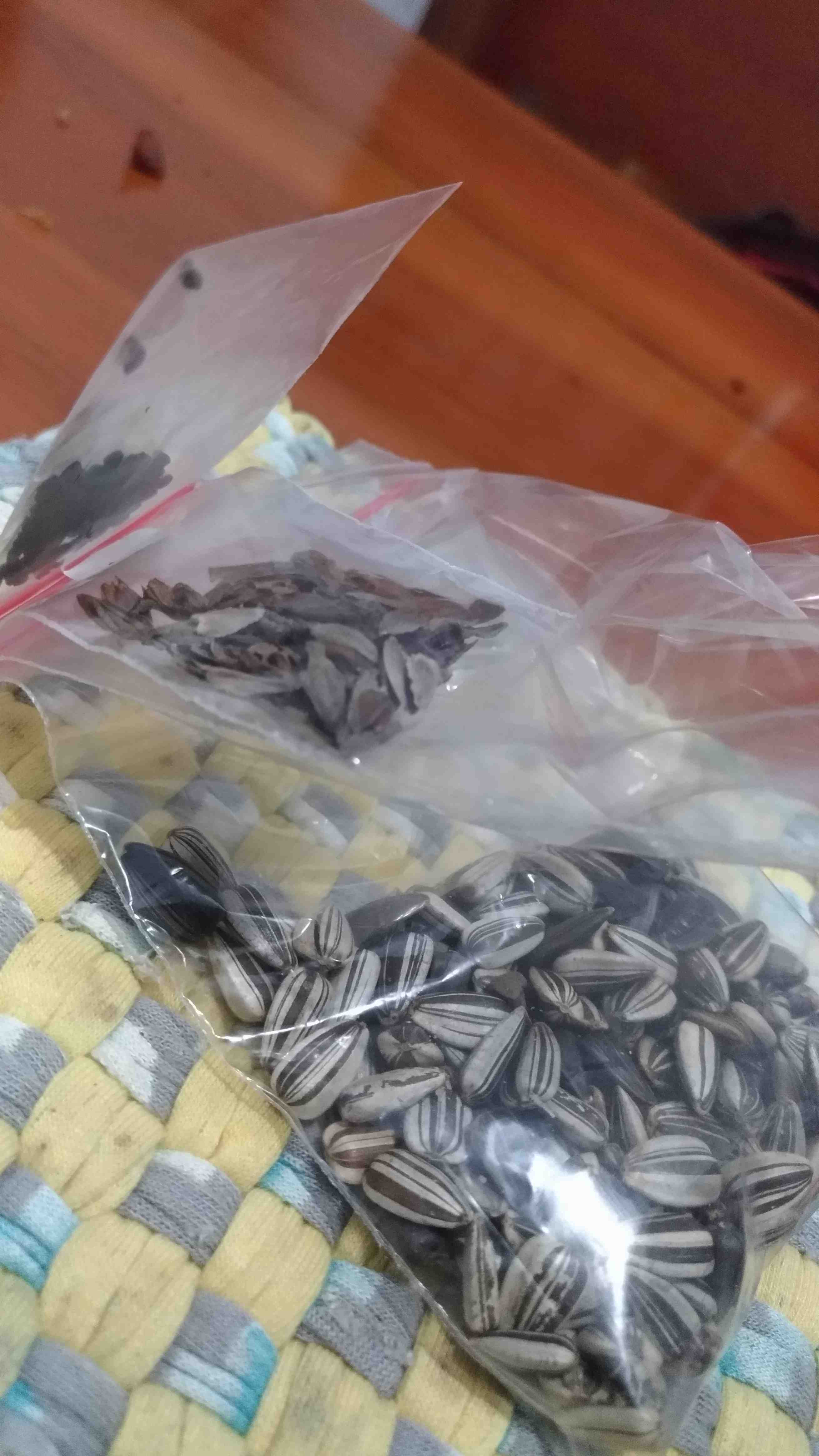 Paket Hemat Benih Bibit Biji 6 Jenis Bunga Matahari Cantik 150 Butir