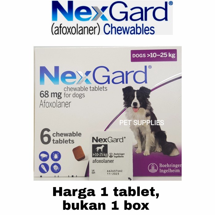 obat kutu anjing paling ampuh NEXGARD, 10-25 kg