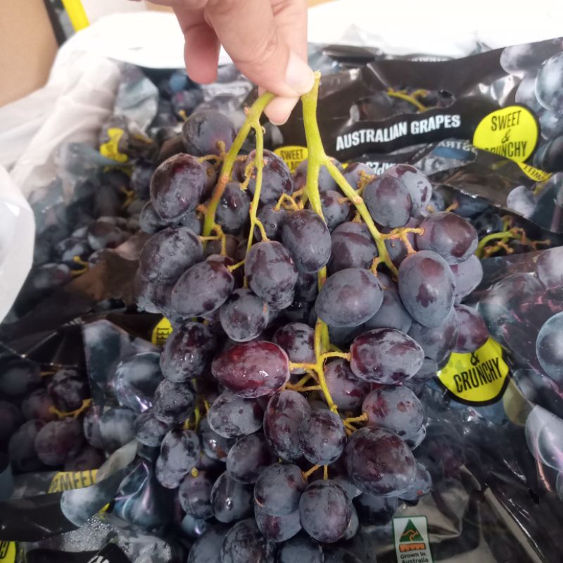 Anggur Autumn Australia seedless / 1kg
