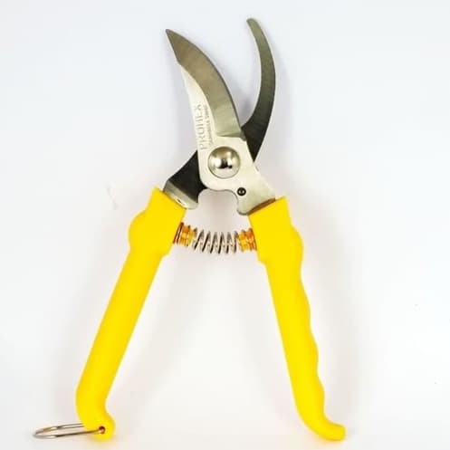 Gunting Tanaman Gunting PROHEX Stek Batang Dahan Pohon - Pruning