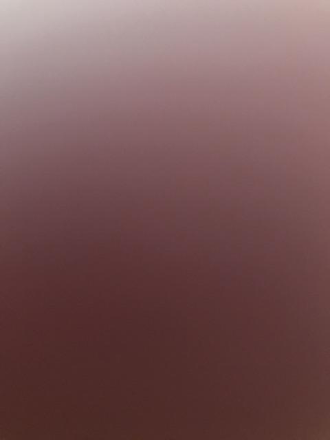 Ring Roti Ring Burger Ring Mousse Ring Tartlet Ring Cutter Round Bulat 5pcs