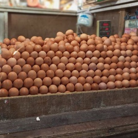 

Telur Negri