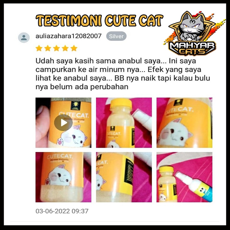 Vitamin Penggemuk dan Bulu Kucing Penumbuh Bulu Kucing Pelebat Bulu Obat Bulu Kucing Rontok CUTE CAT