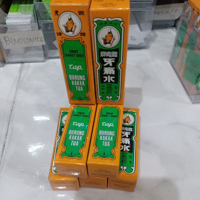 Burung kakak tua obat sakit gigi