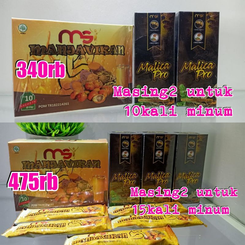 

manjavikan VS malica pro