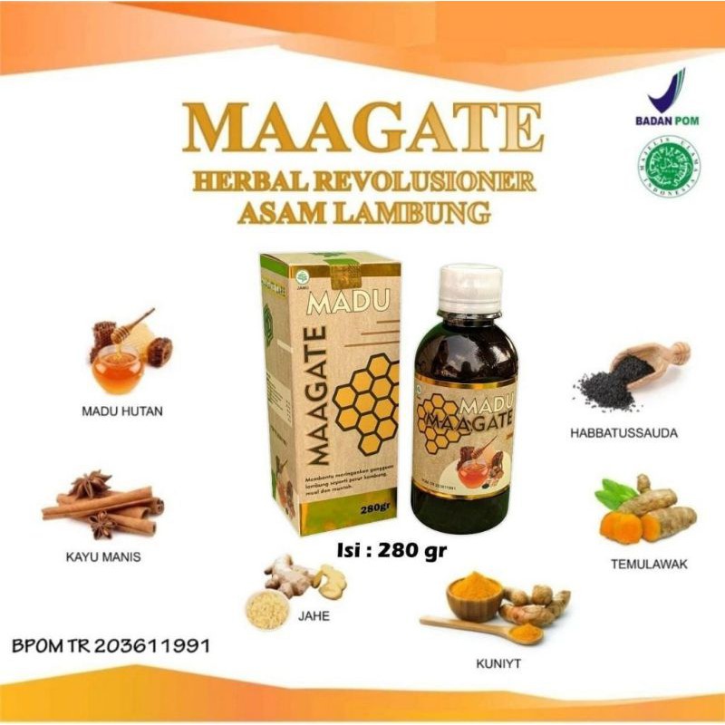 (BISA COD) Madu MAAGATE atasi maag, asam lambung kronis, gerd, anxiety