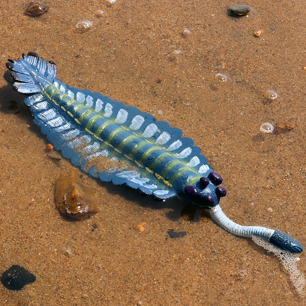 Simulasi Model Organisme Laut Anomalocaris Untuk Koleksi