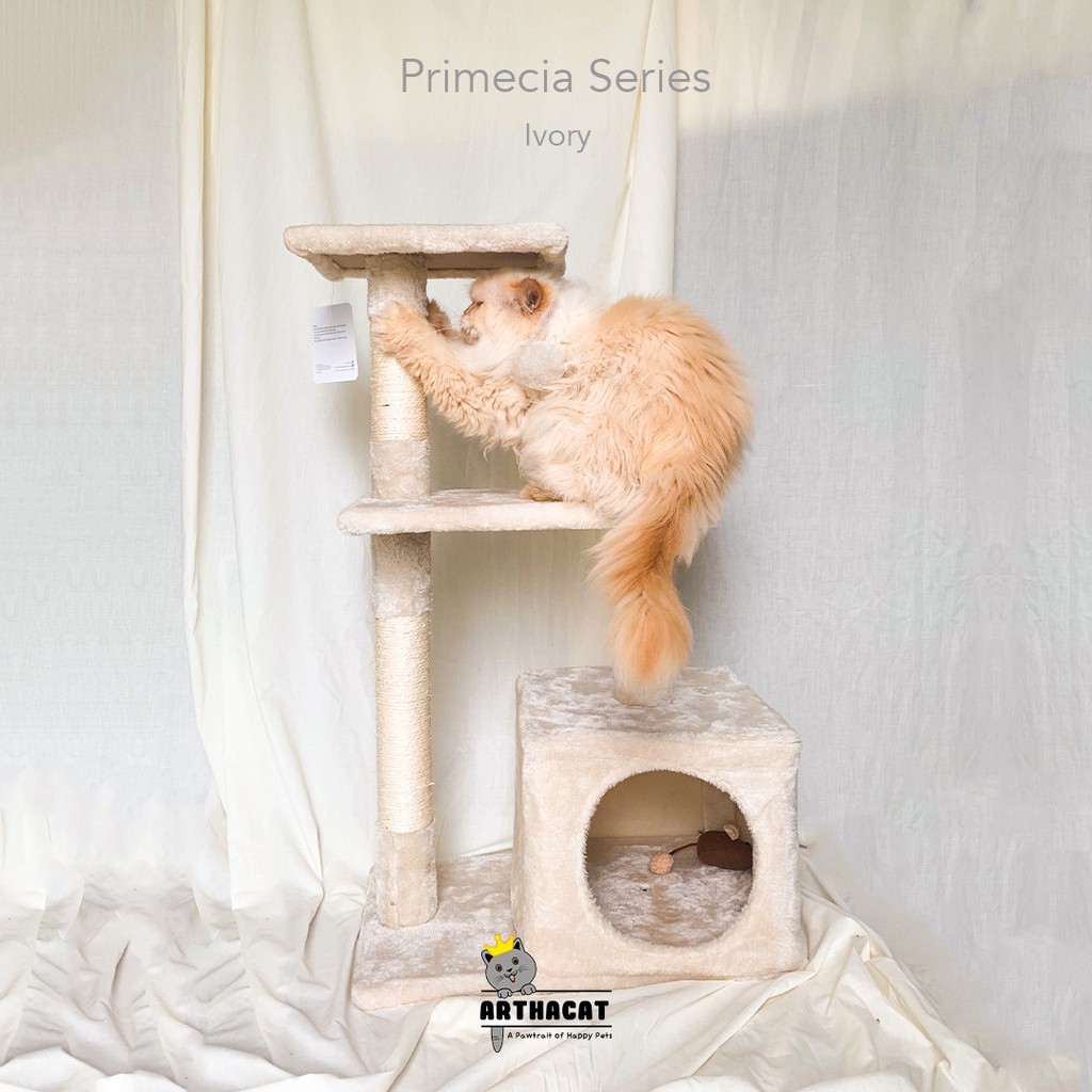 Arthacat - Cat Tree Primecia - Garukan Rumah Kucing  Shopee Indonesia