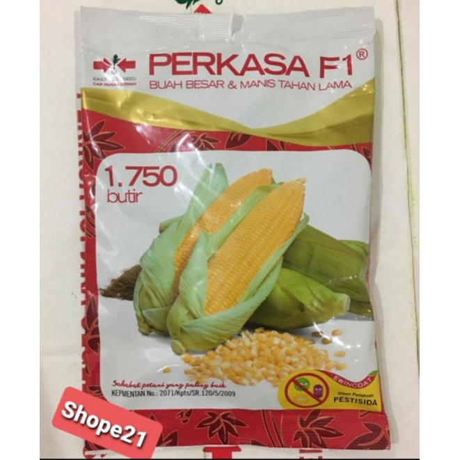 Benih Jagung Manis Perkasa f1 isi 1750 biji