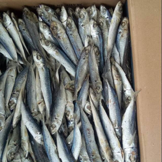 

Ikan asin rebus dencis / serai 500 gram 37rb