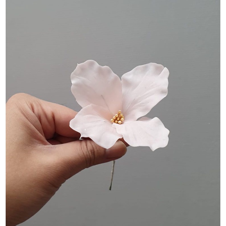 

gumpaste, gumpaste flower, bunga tart / daisy cosmos D 6cm