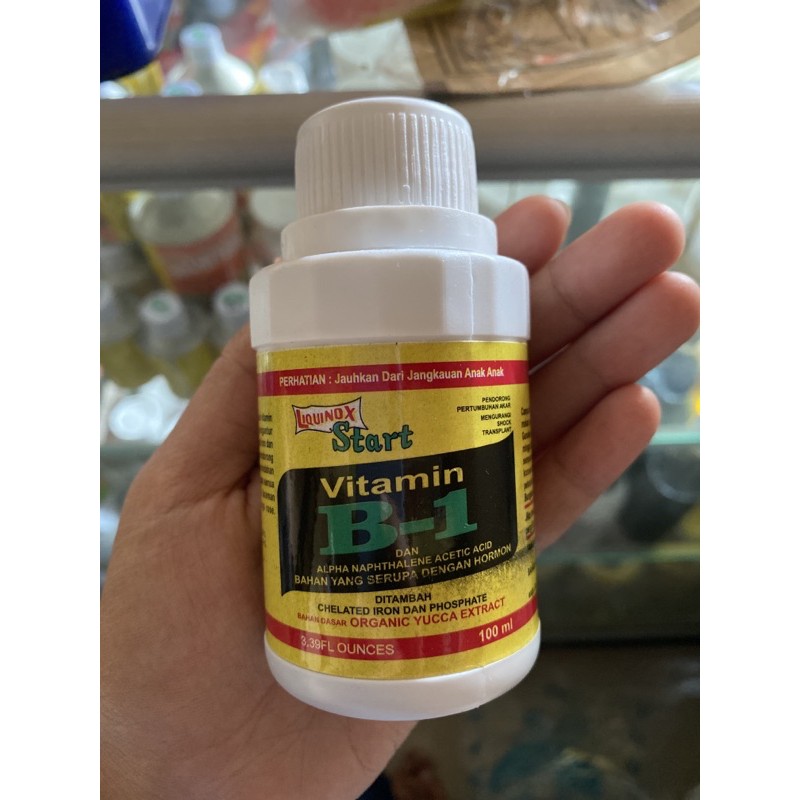 vitamin B1 tanaman