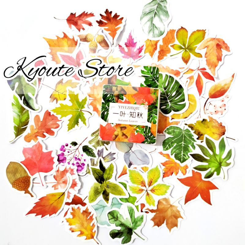 

48 pcs Sticker Deco Beautiful Autumn Leaves Aesthetic Scrapbook DIY Bujo Planner Journal HP