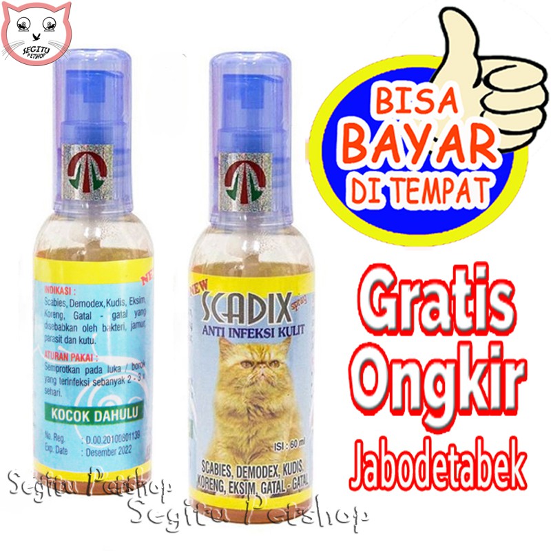 Obat Jamur Scabies Kucing