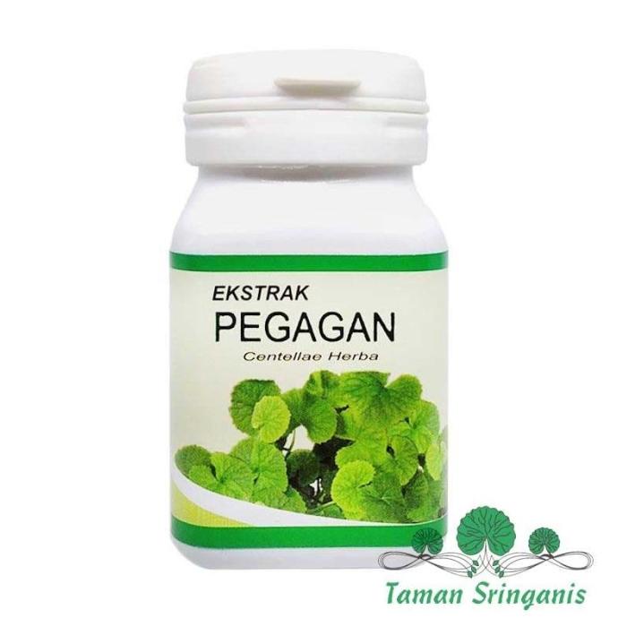 Kapsul Ekstrak Pegagan/Antanan, Obat Herbal Ginjal, Obat Insomnia