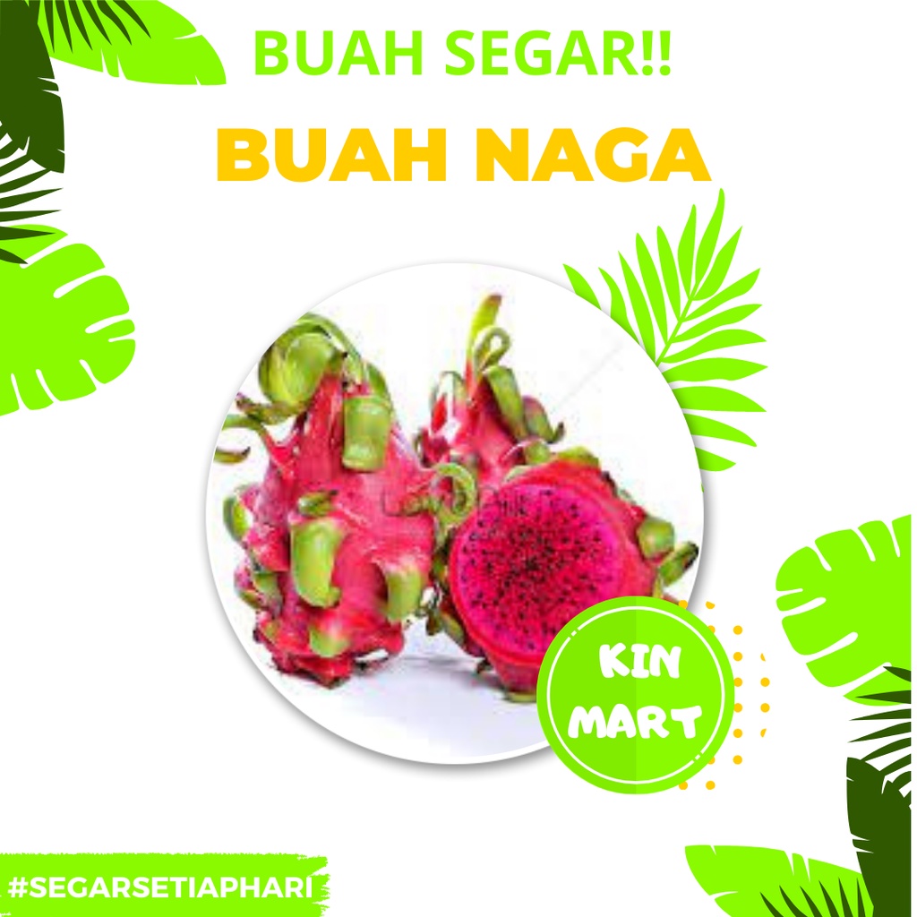 

Buah Naga Merah Fresh | Buah Naga Murah