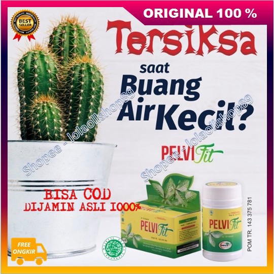[BISA COD] Pelvifit Obat Herbal Batu Ginjal Empedu Gagal Ginjal Sakit Pinggang Mnajur 100% ORIGINAL 