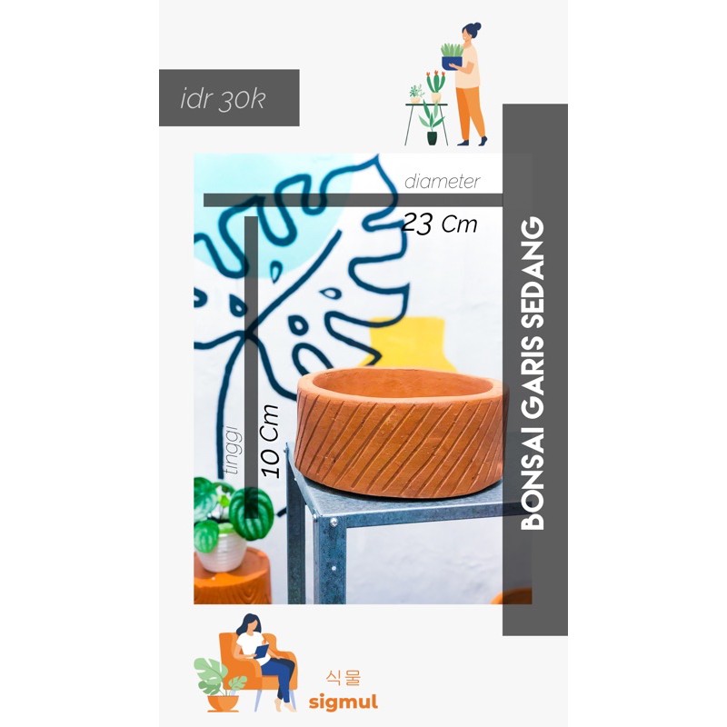 Pot Terakota / Pot Gerabah / Pot Teracotta / Tanah Liat Bonsai Garis Sedang