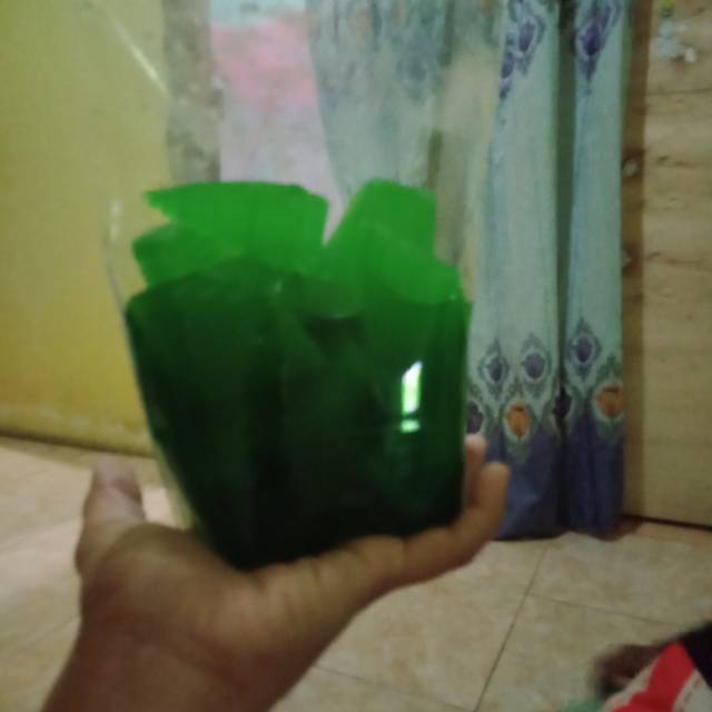 

Manisan blonceng