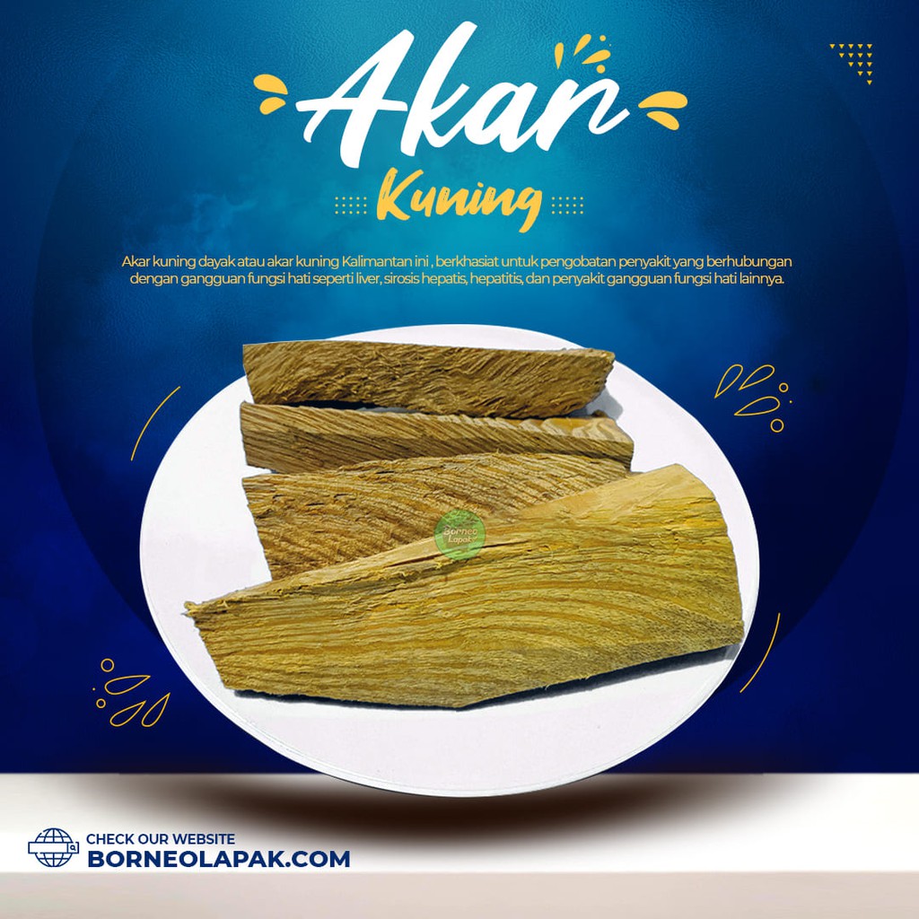 

Akar Kuning 150gr Asli Dari Kalimantan