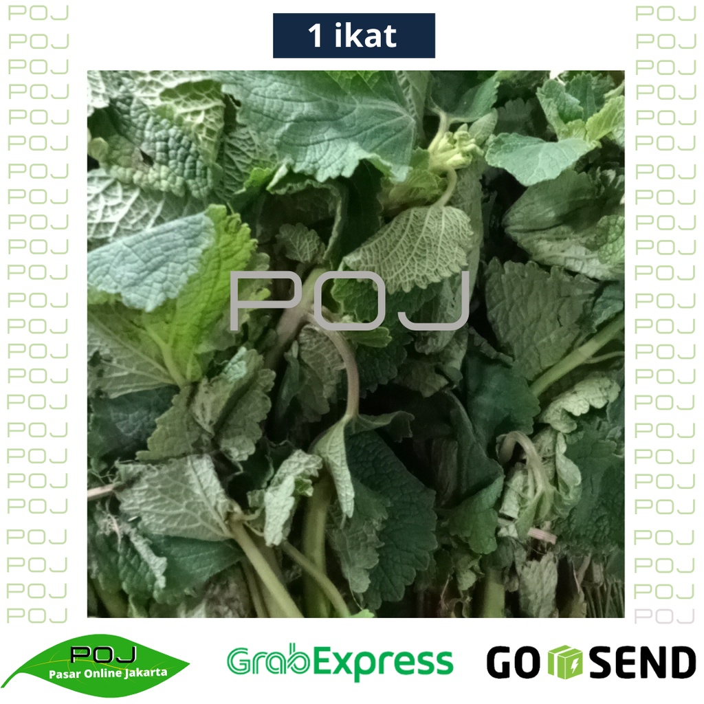 

Sayur Bangun Bangun 1 ikat(500 gr) ✓Sayur Bangun-Bangun Segar✓POJ