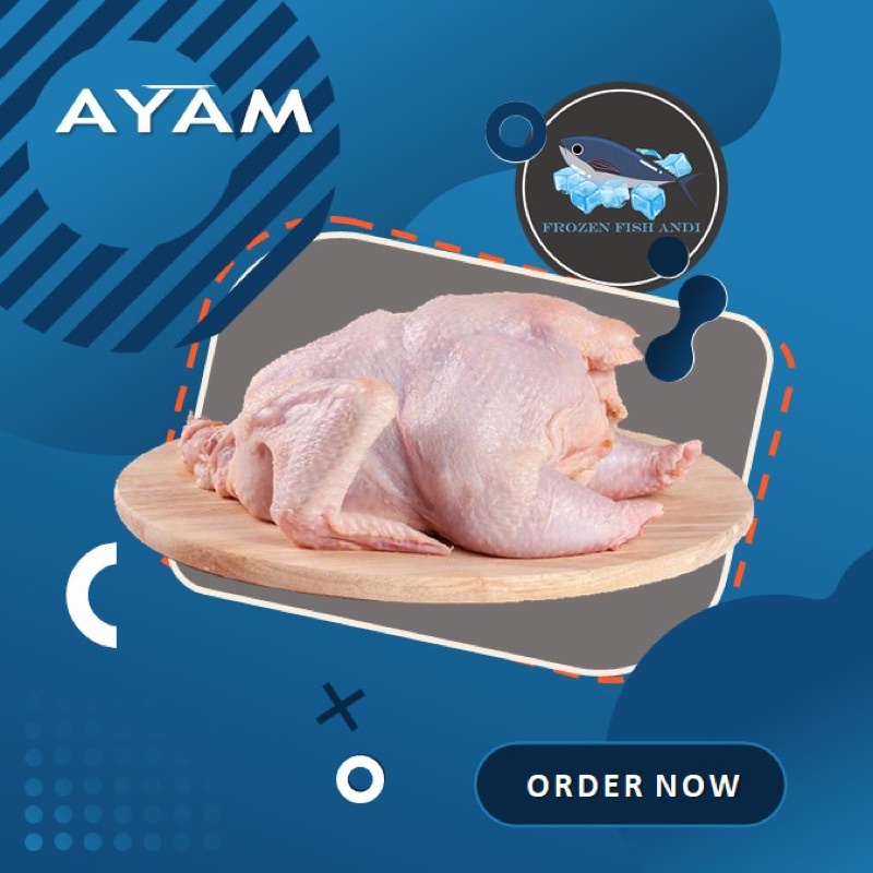 

Daging Ayam segar