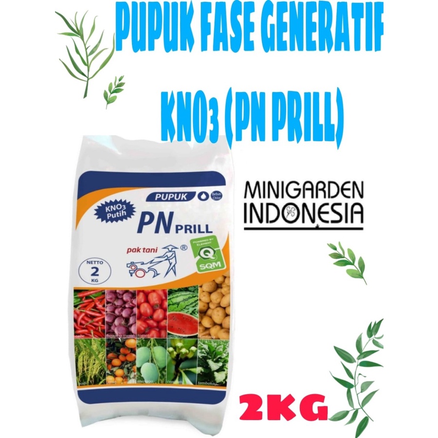 PN PRILL 2 KG pupuk kno3 putih pak tani kno 3 pupuk generatif pemacu bunga dan buah