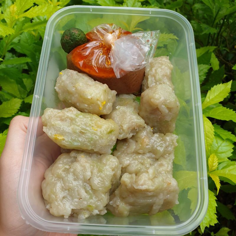 

SIOMAY TENGGIRI HALAL ISI 10 MIX