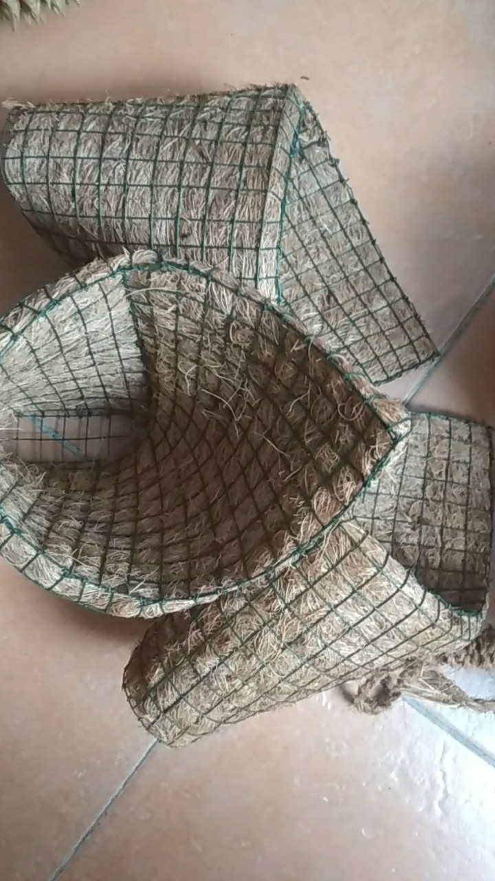 Pot Tempel Kerucut / Pot Sabut Kelapa / Pot Anggrek / Media Tanaman Anggrek