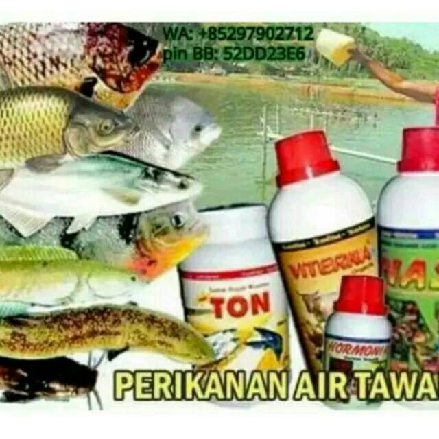 PAKET PERIKANAN NASA JAKARTA