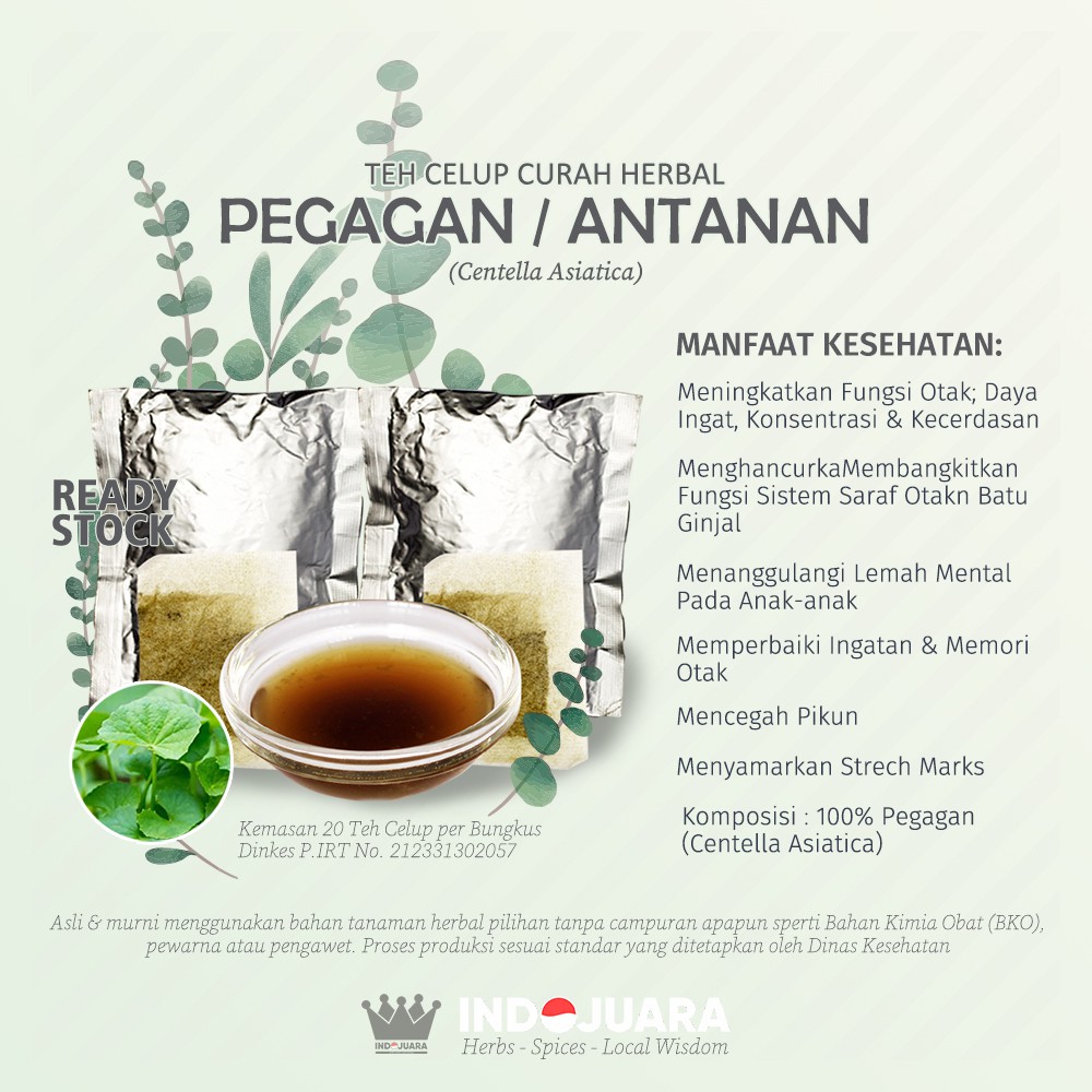 

PEGAGAN Antanan Teh Celup Curah Herbal Murah Berkualitas 10 Bungkus Daya Ingat Konsentrasi AntiAging