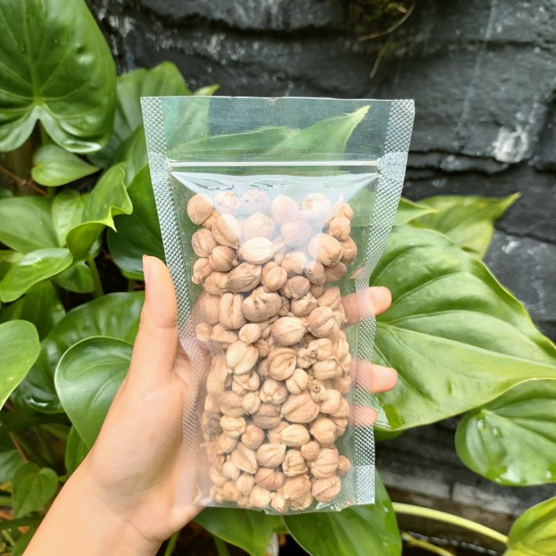 Kapulaga kering alami tanpa pemutih 50gr