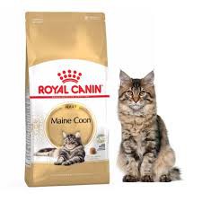 Royal Canin Maine Coon Adult 2kg Cat Food