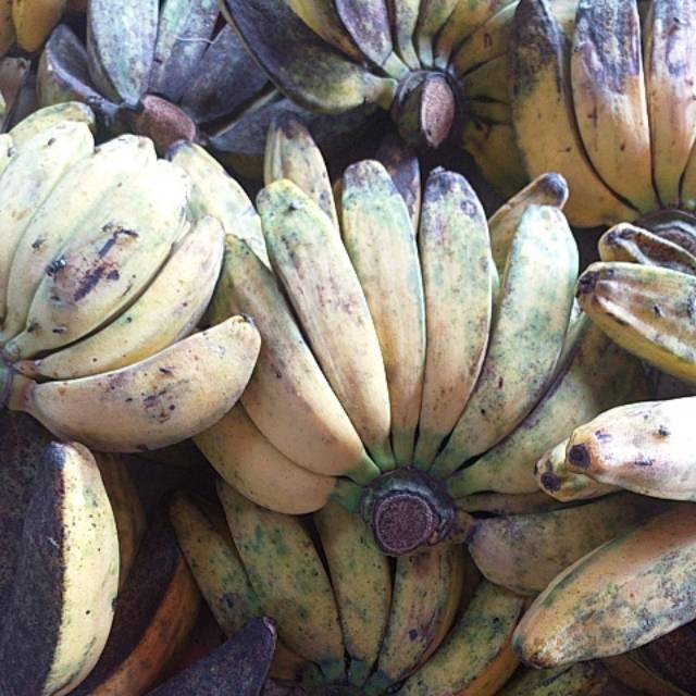 

Buah pisang kepok kuning 1 sisir