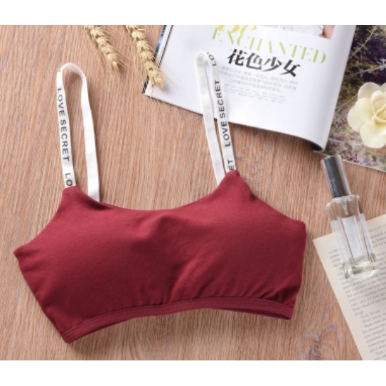 Bra BH Sport Wanita Push Up Sexy Seamless Nilon bralette kutang Fashion Korea BH02