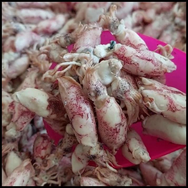 

Cumi Baby Asin/Baby Cumi Asin Frozen 1Kg