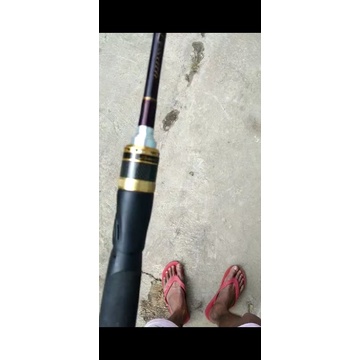 joran shimano lesath gsi 183 2602 f