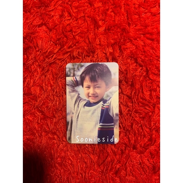 Seventeen Jun Baby Semicolon Photocard