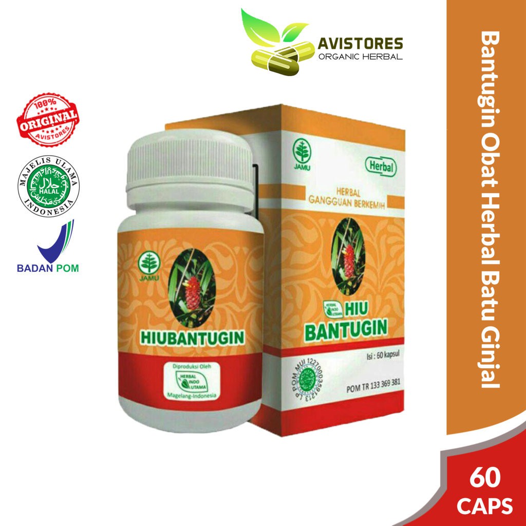 

HIU BANTUGIN Mengatasi Batu Ginjal Empedu Herbal Indo Utama Isi 60 Kapsul