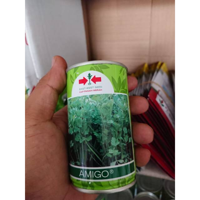 Benih Biji Bibit Seledri AMIGO 50gr