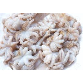 

baby octopus/baby gurita pasar bandung berkah