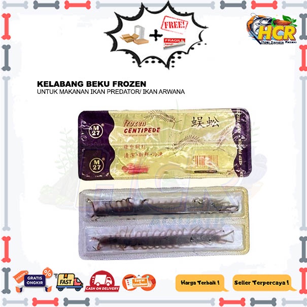 Kelabang Beku Frozen