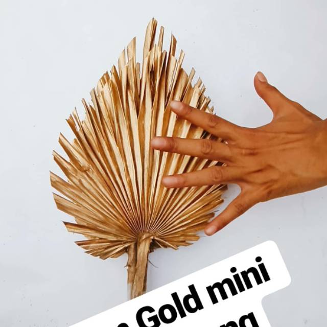 Dried flower - dry flower - palem mini - rustic - daun palem kering - palem gold - daun palm