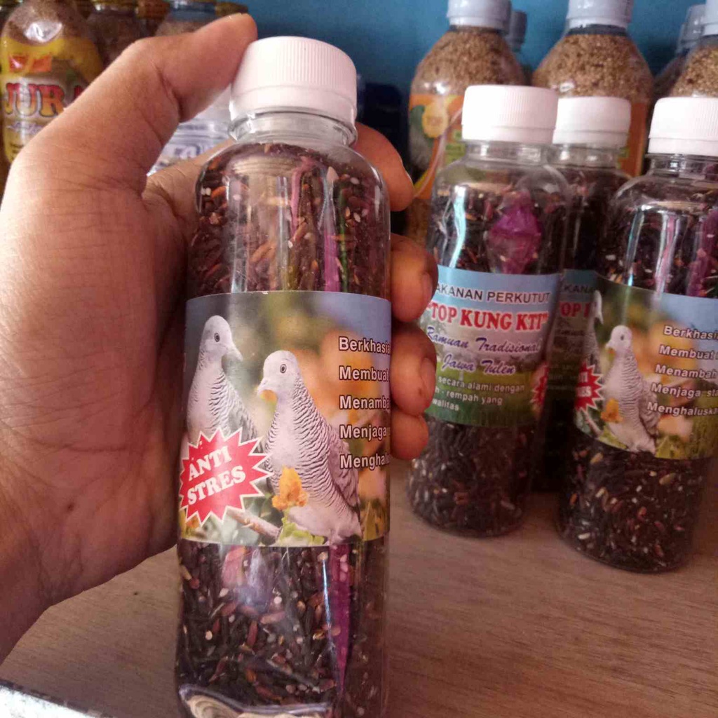 Perkutut ketan hitam